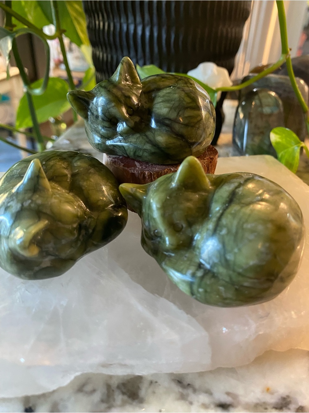 🐱💚 THE NOT-SO-SLEEPY JADE CAT — CUTE, CURLED UP & READY TO POUNCE 💚🐱